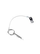 Borgpen met kabel - RVS