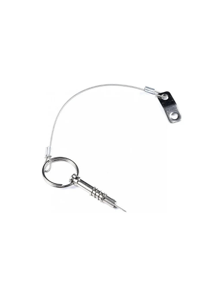 Borgpen met kabel - RVS